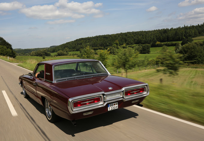 Thunderbird _SH (1).JPG