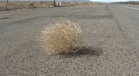 2CB2E88D-1A27-42AE-95B3-0322F5B5F570.gif