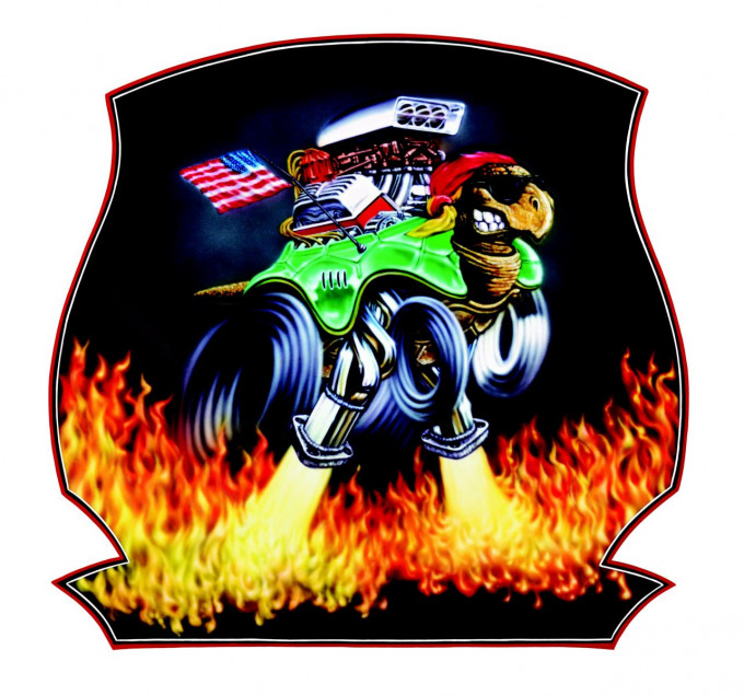 Logo Turtle Performance.JPG