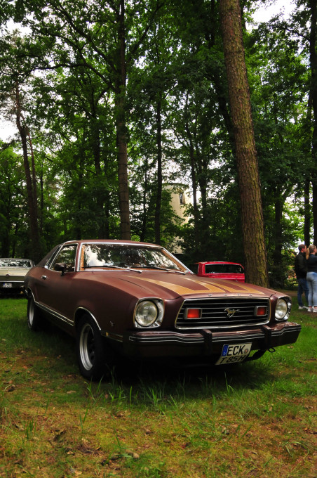 DSC_7724.JPG