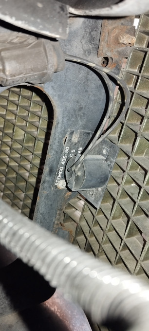 stemco1.jpg