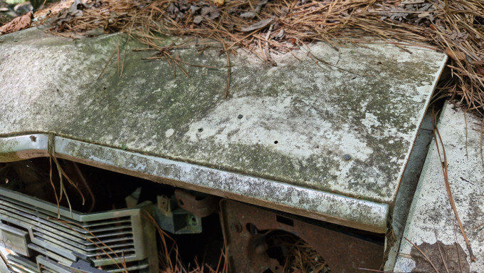 20240622_184839.jpg