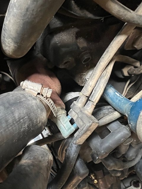 Stecker 3.JPG
