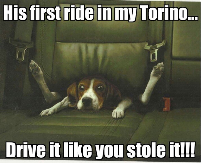 DriveTorino.jpg