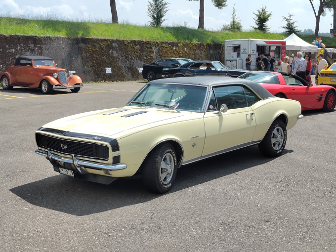 IMG_20250615_150225.jpg