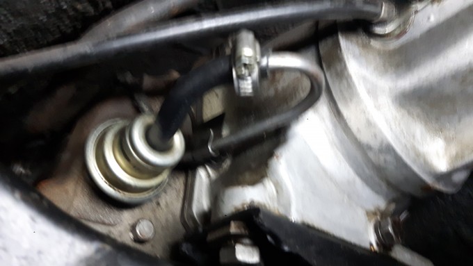 20190516_150256.jpg