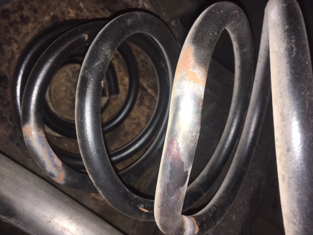 image1.jpeg